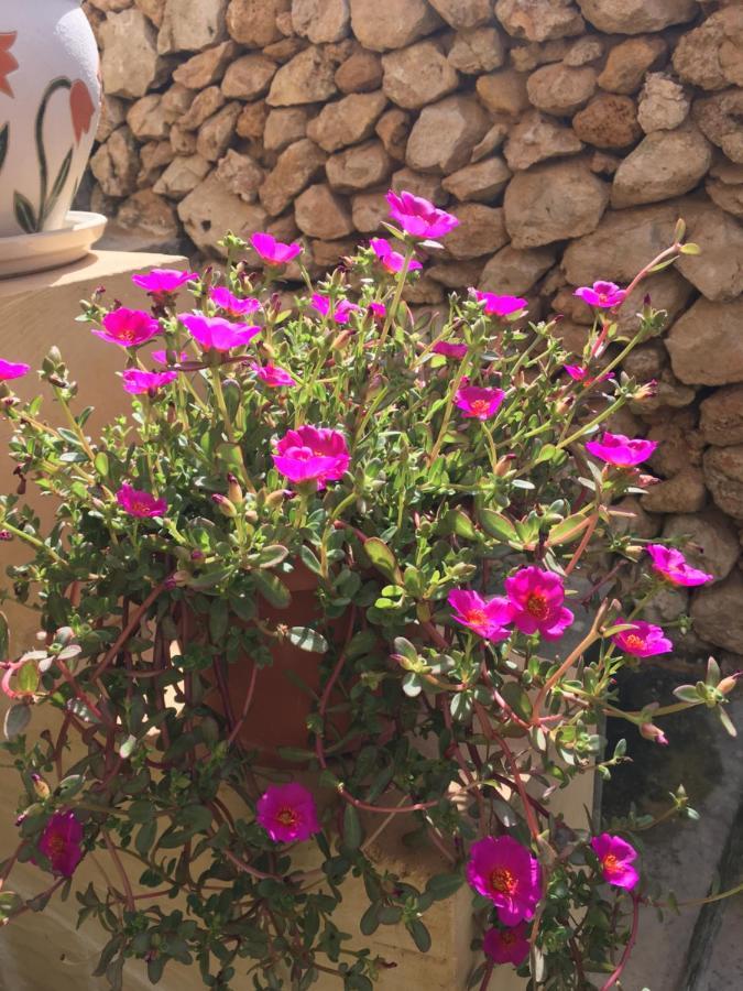 Botanica B&B Xagħra Εξωτερικό φωτογραφία