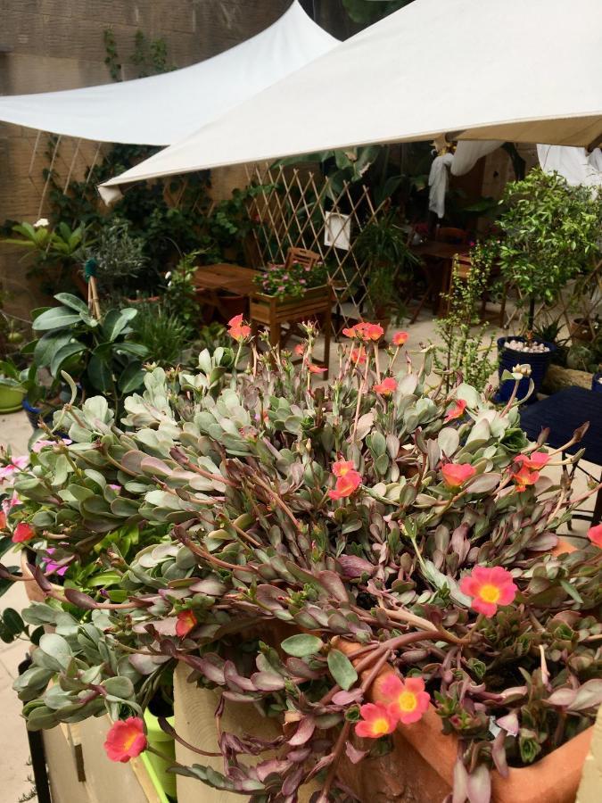 Botanica B&B Xagħra Εξωτερικό φωτογραφία