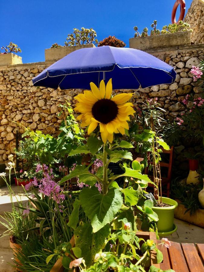 Botanica B&B Xagħra Εξωτερικό φωτογραφία