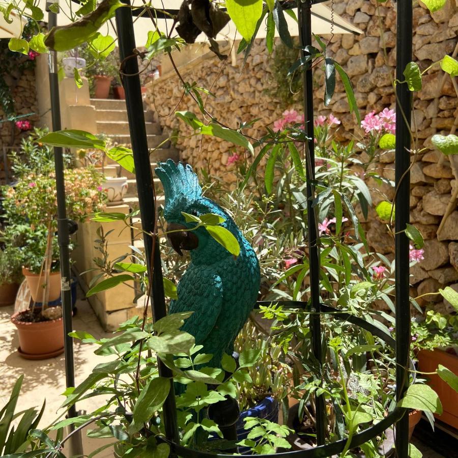 Botanica B&B Xagħra Εξωτερικό φωτογραφία